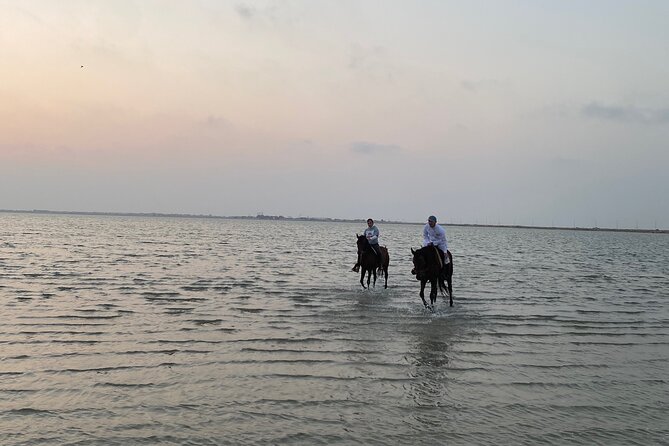 Private Horse Riding Experience at Red Sea - Timing, meeting details, and cancellation