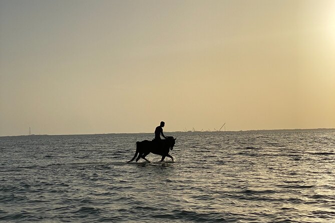 Private Horse Riding Experience at Red Sea - Riding through the desert toward Dahban Beach