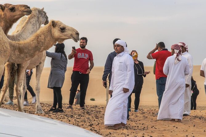 Private Morning Desert Safari with Quad Bike Tours Jeddah - Camel farm visit and a closer look at desert life