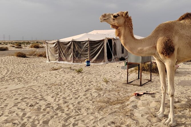 Private Tour to the Yellow Lake and Sand Dunes - Is $119 per person a fair price?