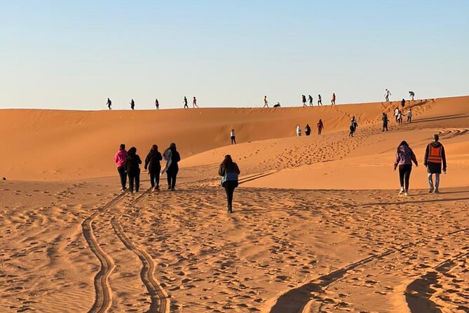 Red Sand Dunes Tour with Camel Ride ,Quad Biking, Heritage House - From King Khalid Branch Road to Thamama