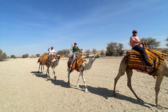 Riyadh City Tour with Camel Riding - Key points to know before booking