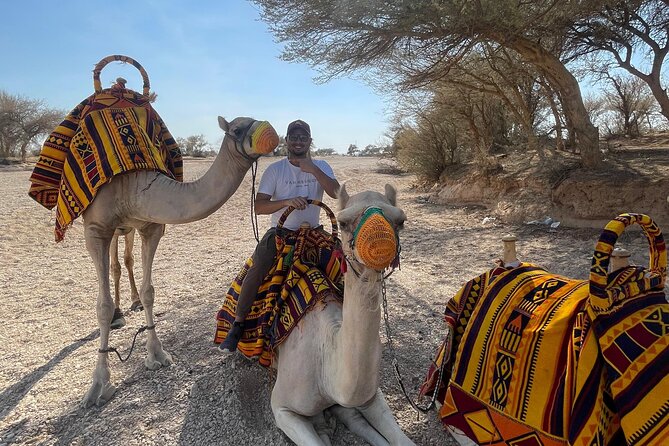 Riyadh City Tour with Camel Riding - Why this Riyadh outing feels different