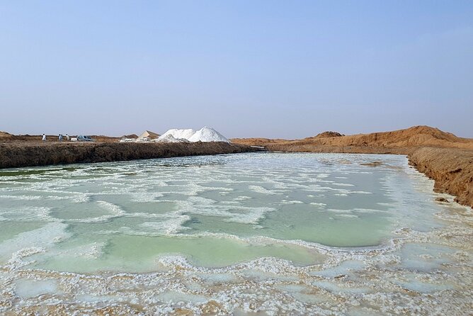 Riyadh City Tour with Camel Riding - Shaqra Heritage Museum and everyday Saudi life