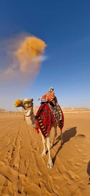 Riyadh: Desert Sand Dunes (VIT-Qude bike + Camel Ride) - A camel ride with a traditional rhythm