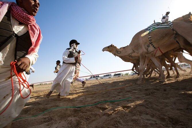 Riyadh Red Sand Dunes 4x4 (Camel Ride, Quad biking, Old Palace) - Refreshments and a simple desert setup