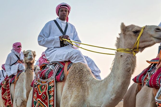 Riyadh Red Sand Dunes 4x4 (Camel Ride, Quad biking, Old Palace) - The camel ride brings the pace down