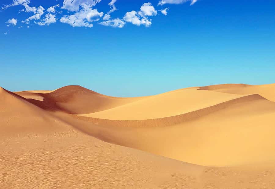 Riyadh: Sand Dunes Desert Safari, Quad Bike, Camel Ride - What makes this Riyadh desert outing worth considering