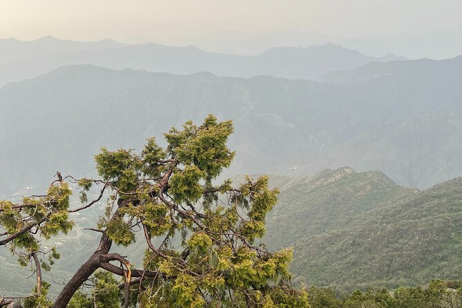 Sawda Mountains Hiking Trail - Walking through clouds at 3,000 meters