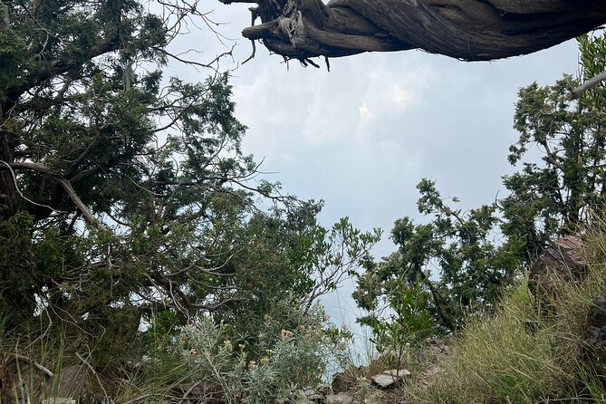 Sawda Mountains Hiking Trail - Monkeys, rain, and simple mountain awareness