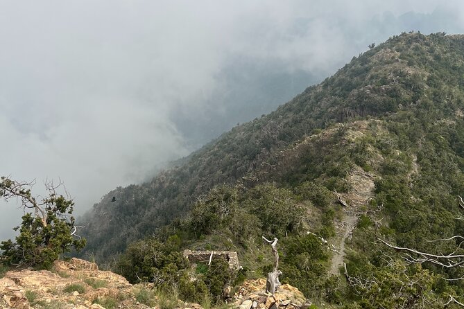 Sawda Mountains Hiking Trail - Juniper trees and the green side of Saudi Arabia