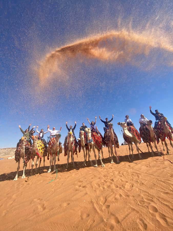 VIP Red Dunes: Camel, Quads, Private Tour & Coffee - Arabian coffee, tea, sweets, and a desert pause