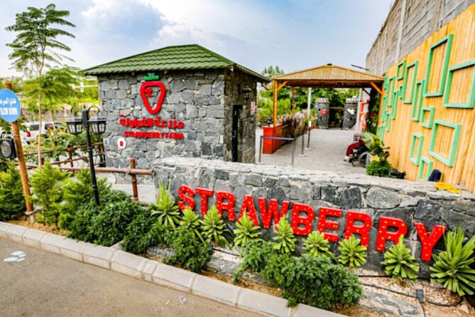 Visit Taif The City of Roses - Al Hada Mountain and the cable-car decision
