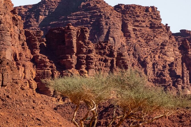 Wadi Disah Adventure from Tabuk | Al Ula - What the $400 price really covers