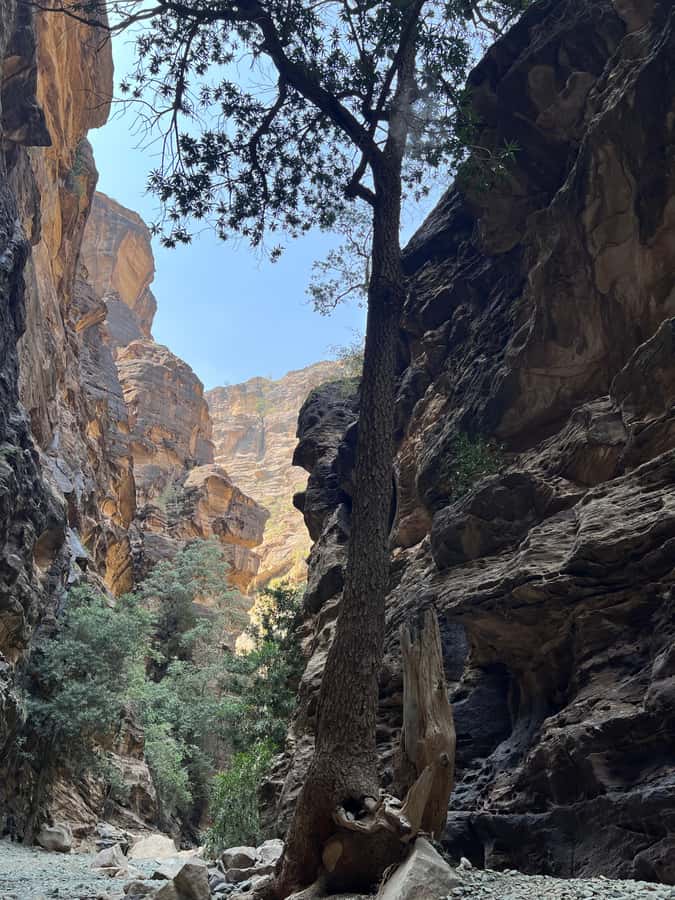 Wadi Lajab Canyon Hiking Tour - Key points to know before you go