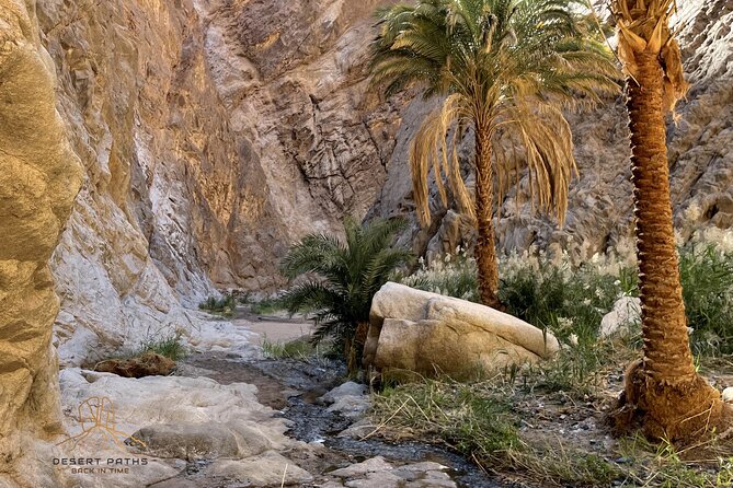 Walk In Moses' Footsteps - Tour between Tabuk and The Red Sea - Guides, meals, and the feel of the journey