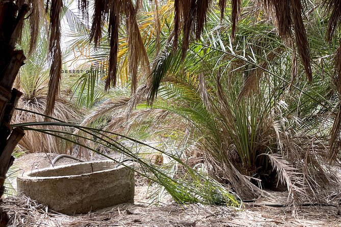 Walk In Moses' Footsteps - Tour between Tabuk and The Red Sea - Who should book this experience?